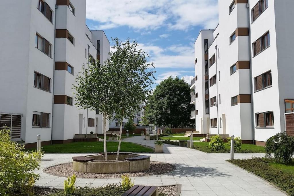Apartamento Rosenmöwe_App_Swinemünde Habitación foto