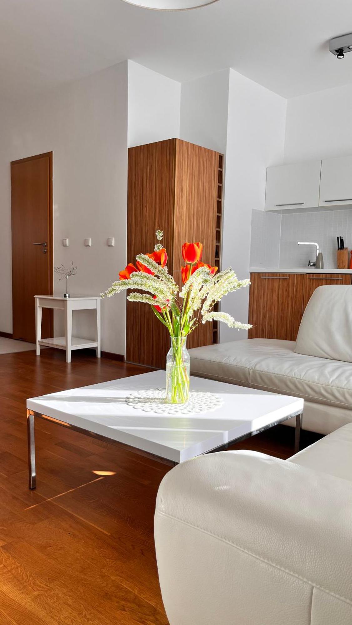 Apartamento Rosenmöwe_App_Swinemünde Exterior foto